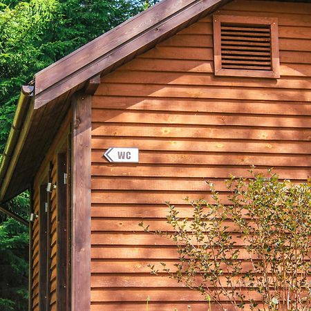 Kempings Lejasbisenieki Turaida Exteriér fotografie